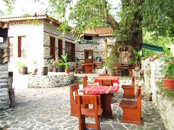 Комплекс Стария Чинар Melnik (Blagoevgrad) Ngoại thất bức ảnh