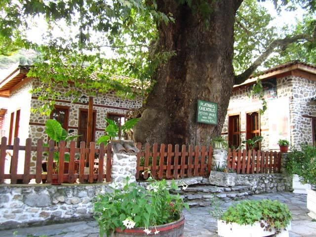Комплекс Стария Чинар Melnik (Blagoevgrad) Ngoại thất bức ảnh