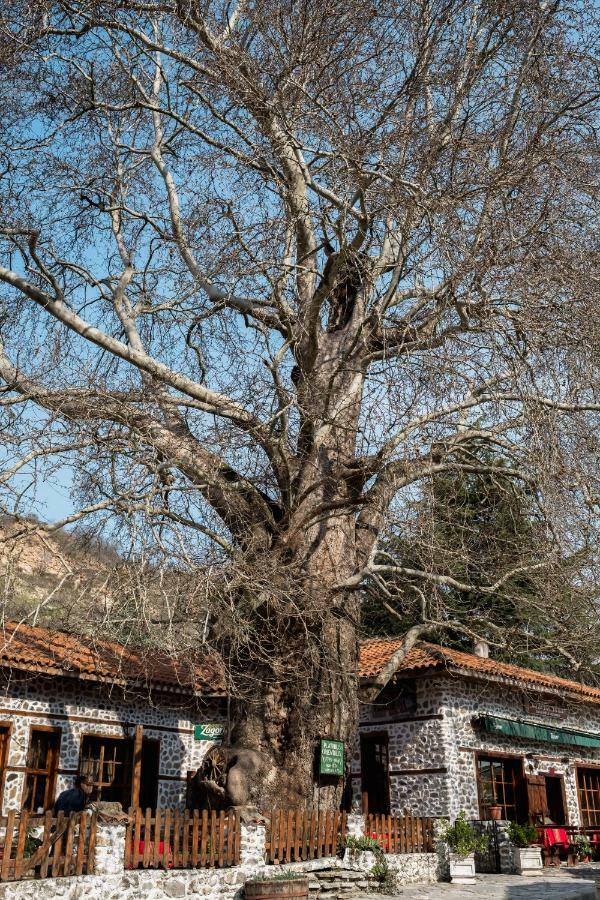 Комплекс Стария Чинар Melnik (Blagoevgrad) Ngoại thất bức ảnh