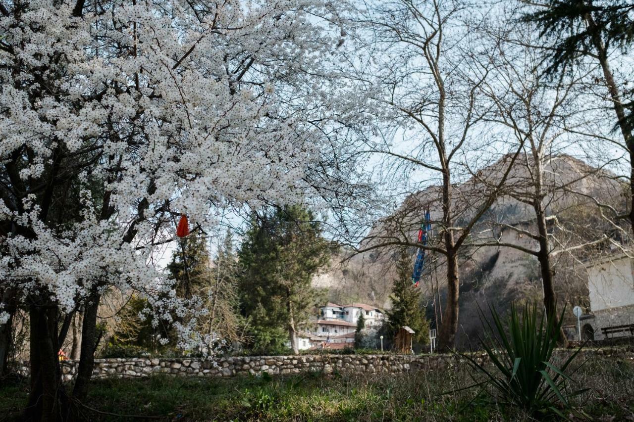 Комплекс Стария Чинар Melnik (Blagoevgrad) Ngoại thất bức ảnh