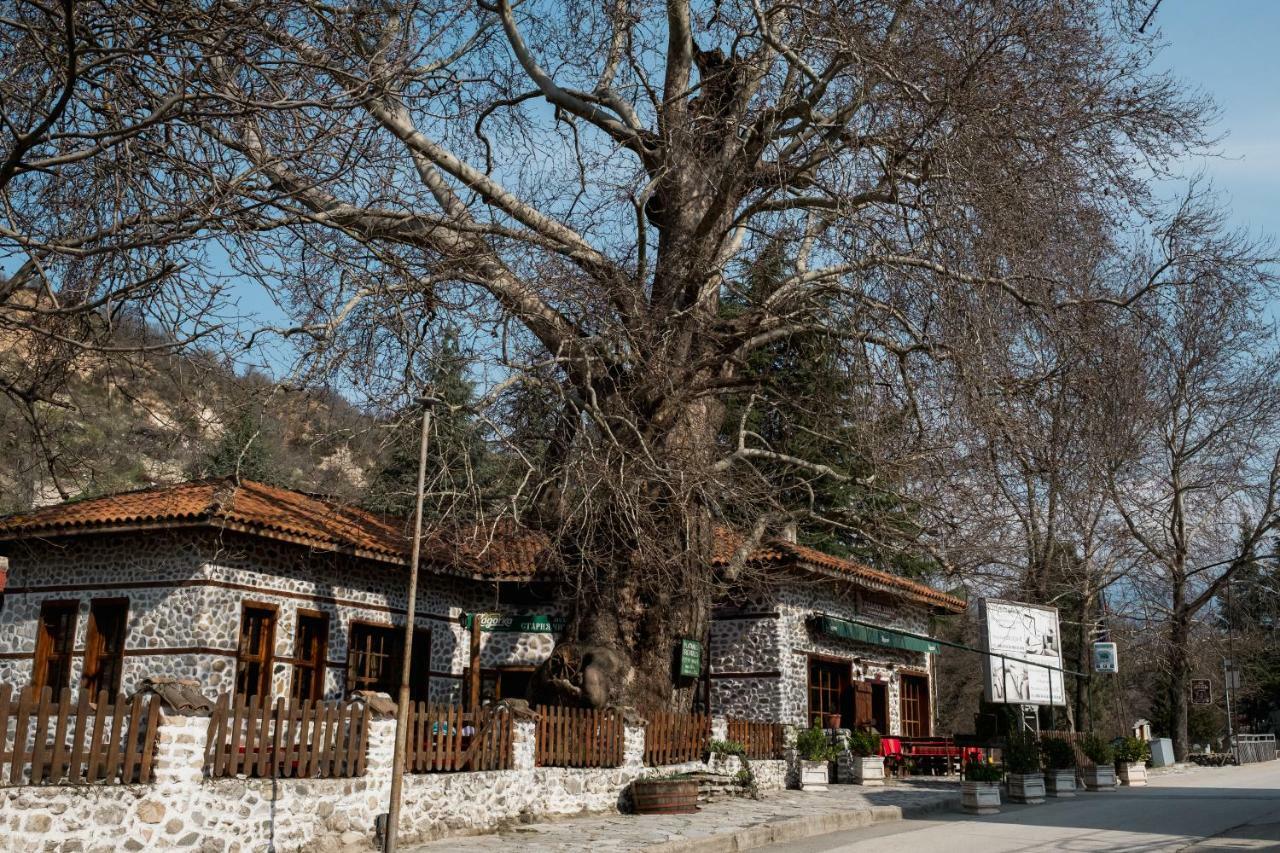 Комплекс Стария Чинар Melnik (Blagoevgrad) Ngoại thất bức ảnh